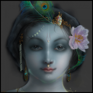 Krishna_Gallery